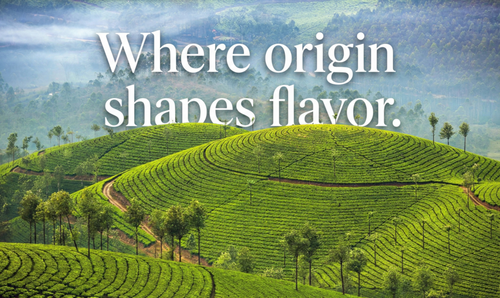 Lush green hills in Kerala's Western Ghats, representing the origin of Kerin's premium spices